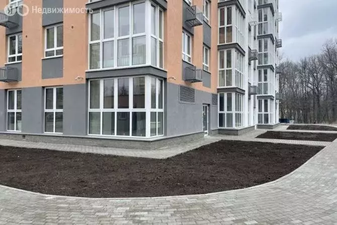 Помещение свободного назначения (47 м) - Фото 0