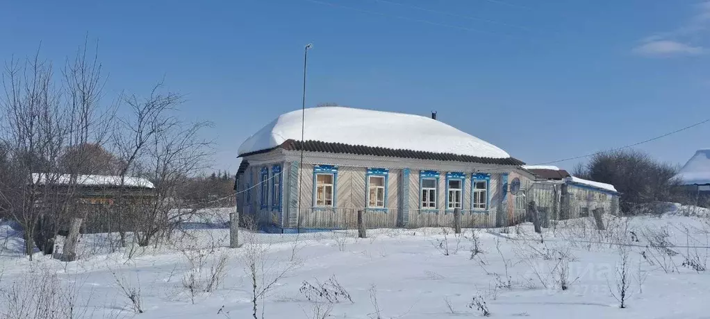 Дом в Ульяновская область, Карсунский район, Урено-Карлинское с/пос, ... - Фото 2