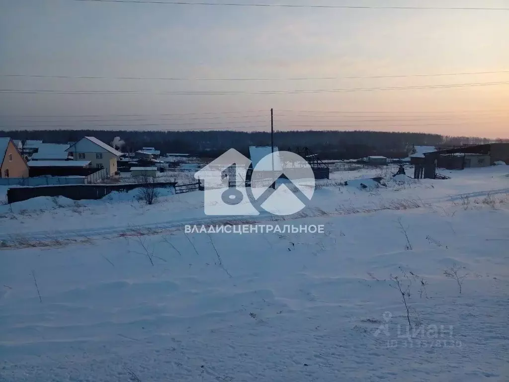 Участок в Новосибирская область, Колыванский район, д. Воробьево ... - Фото 0