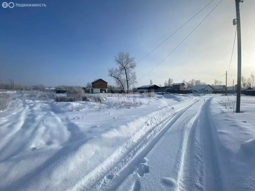 Участок в Наумовский сельсовет, СНТ Лесное (15 м) - Фото 2