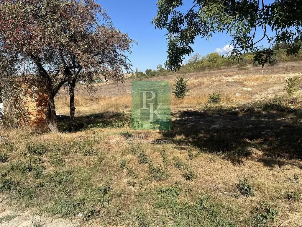 Участок в Челябинская область, Сосновский муниципальный округ, Надежда ... - Фото 2