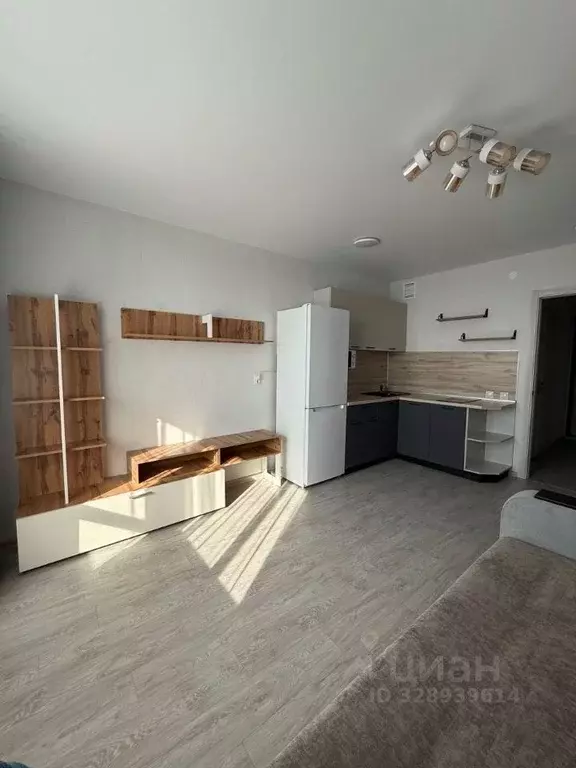 Студия Пермский край, д. Кондратово ул. Водопроводная, 6/2 (25.8 м) - Фото 2