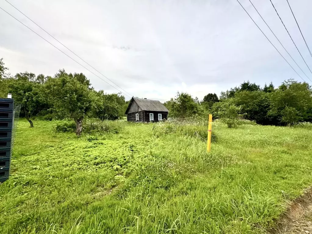Участок в Смоленская область, Дорогобужский муниципальный округ, д. ... - Фото 2