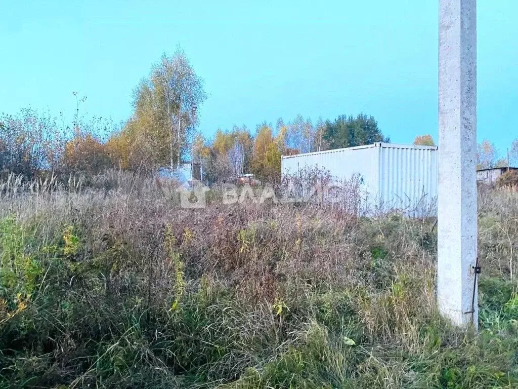 Участок в Владимирская область, Владимир д. Вилки, ул. Центральная, 22 ... - Фото 1