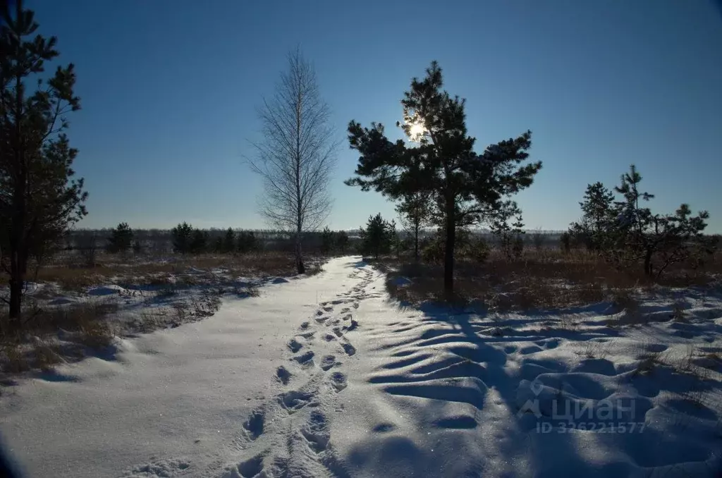 Участок в Пензенская область, с. Бессоновка проезд 3-й Российский ... - Фото 1