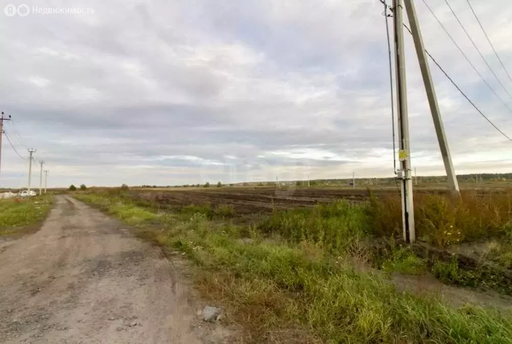 Участок в Тюменский муниципальный округ, ДНТ Воскресенье-1, Светлая ... - Фото 2