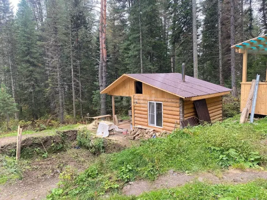 Участок в Алтай, Турочакский район, с. Артыбаш ул. Серебряная (13.0 ... - Фото 1
