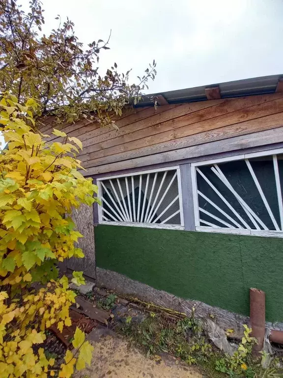 Участок в Татарстан, Казань Рассвет СНТСН, 29 (5.7 сот.) - Фото 2