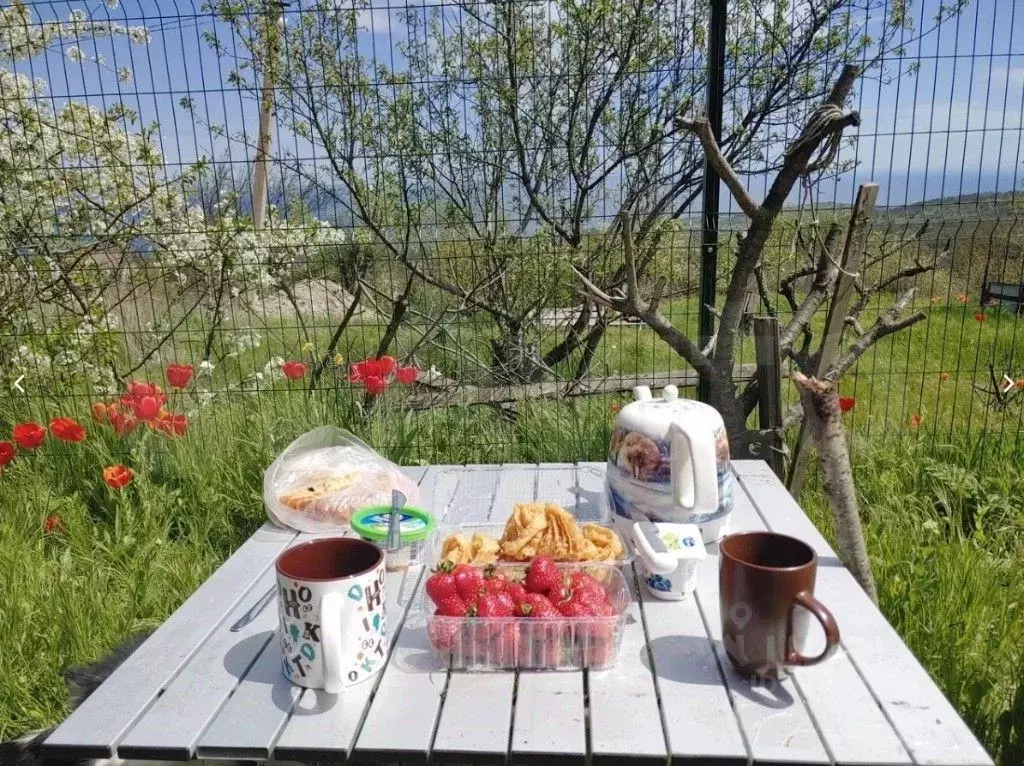 Дом в Крым, Феодосия Полет садовое товарищество, (46.0 м) - Фото 0