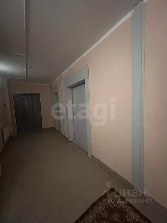 Студия Санкт-Петербург пос. Шушары, ул. Валдайская, 1 (25.7 м) - Фото 1