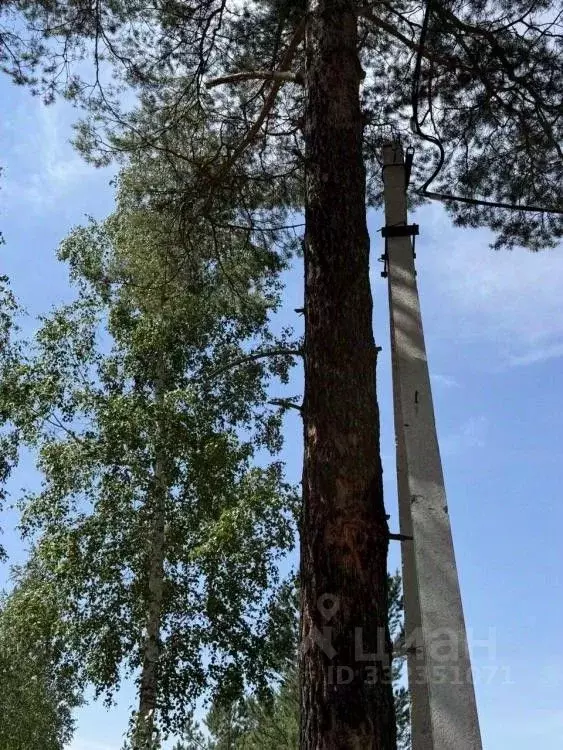 Участок в Иркутская область, Иркутский муниципальный округ, Маркова ... - Фото 2