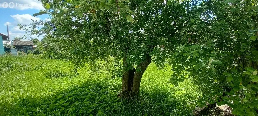 Дом в Ярцево, 1-я Рабочая улица (47.6 м) - Фото 0