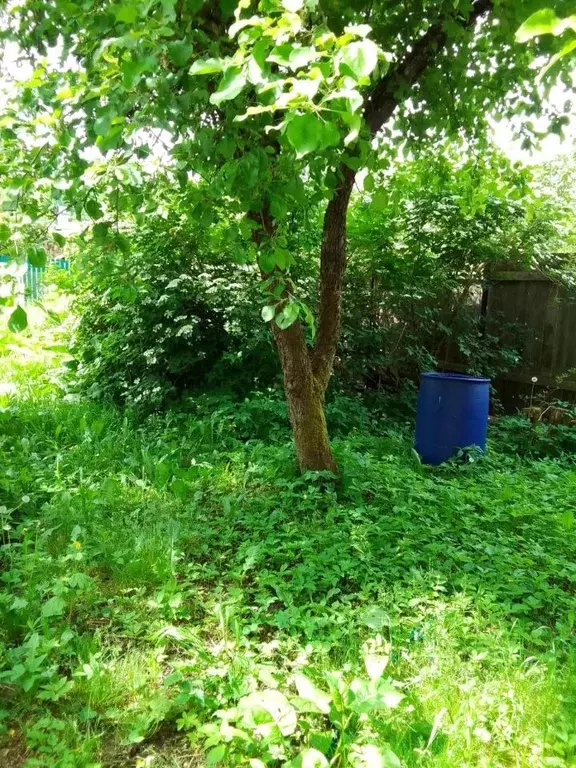 Дом в Московская область, Солнечногорск городской округ, Лесной Уголок ... - Фото 2