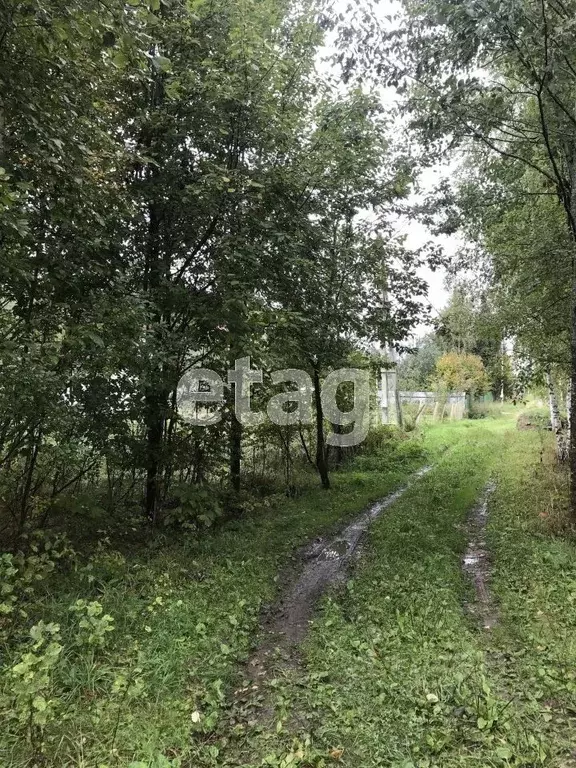 Участок в Московская область, Дмитровский городской округ, Соколово ... - Фото 0