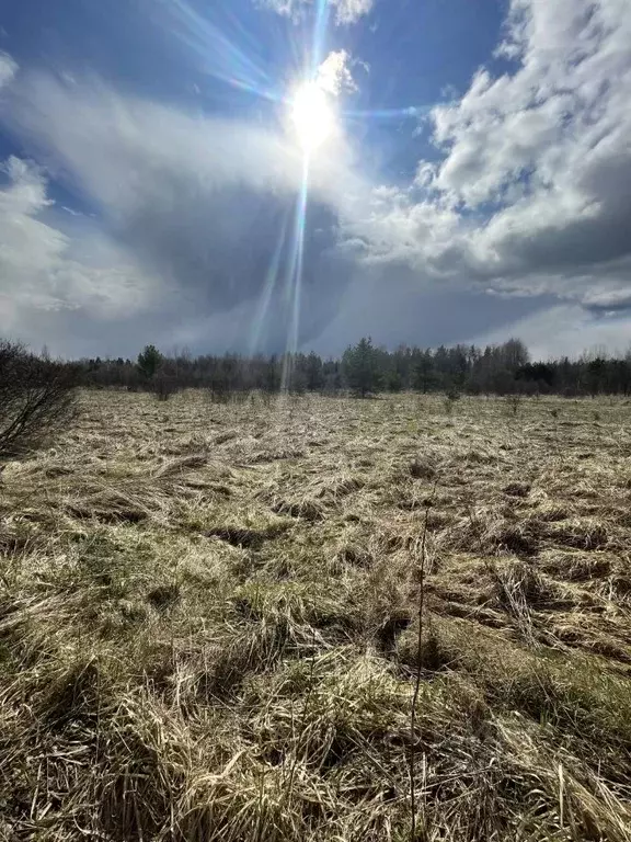 Участок в Ленинградская область, Выборгский район, пос. Красносельское ... - Фото 1