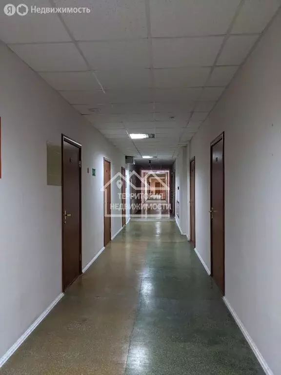 Офис (18 м) - Фото 2