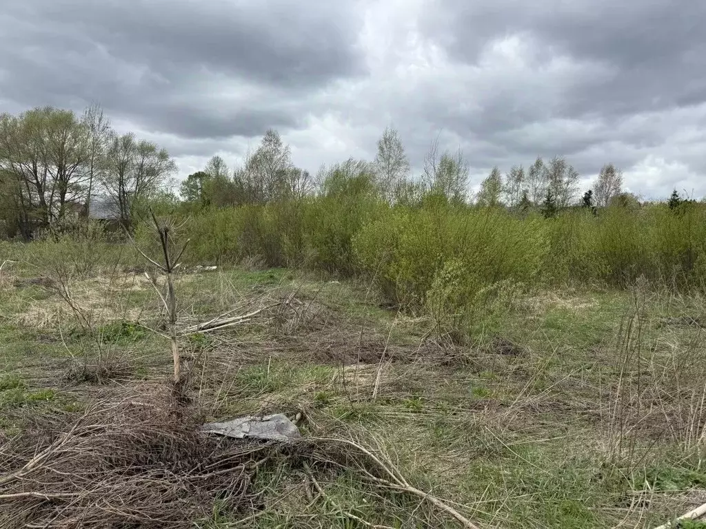 Участок в Московская область, Пушкинский городской округ, д. ... - Фото 1
