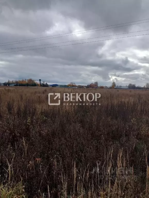 Участок в Костромская область, Костромской район, Шунгенское с/пос, д. ... - Фото 2
