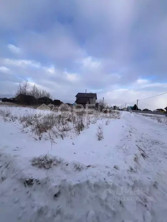 Участок в Тюменская область, Тюменский район, с. Мальково Новая ул., ... - Фото 1