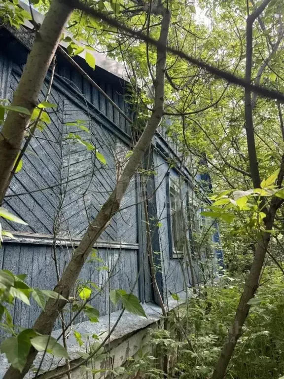 Дом в Белгородская область, Новооскольский муниципальный округ, ... - Фото 2