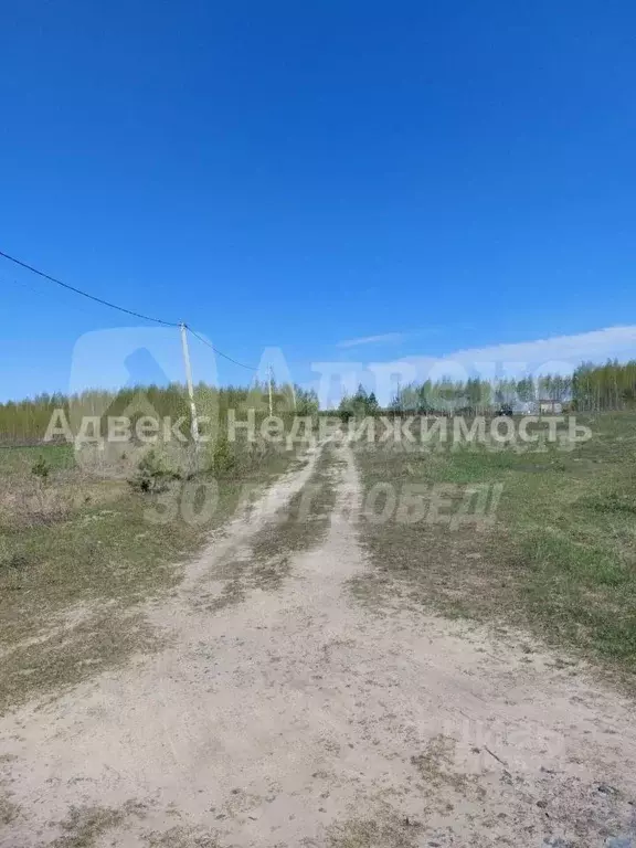 Участок в Тюменская область, Тюменский район, с. Червишево  (8.39 ... - Фото 1