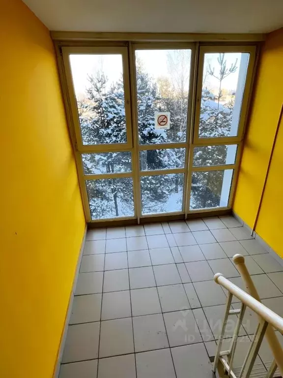 Студия Ленинградская область, Всеволожский район, пос. Бугры Новая ... - Фото 2