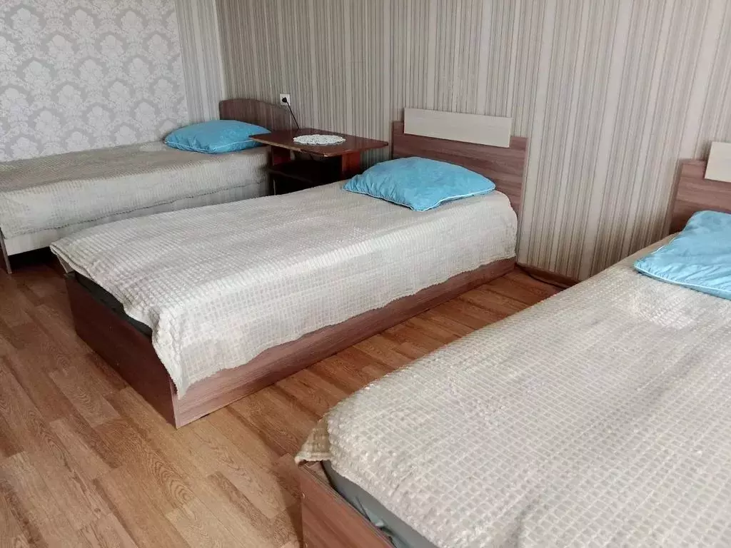 1-к кв. Самарская область, Кинель городской округ, Алексеевка пгт ул. ... - Фото 1