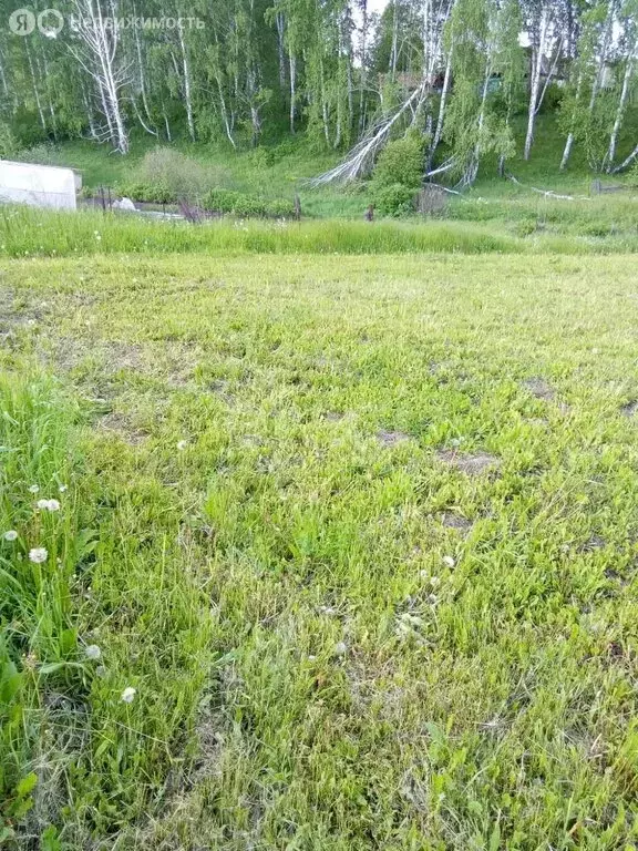 Участок в село Берёзово, улица Гагарина (10 м) - Фото 1