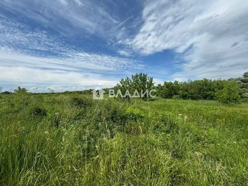Участок в Пензенская область, с. Бессоновка ул. Карьер, 6 (30.0 сот.) - Фото 1
