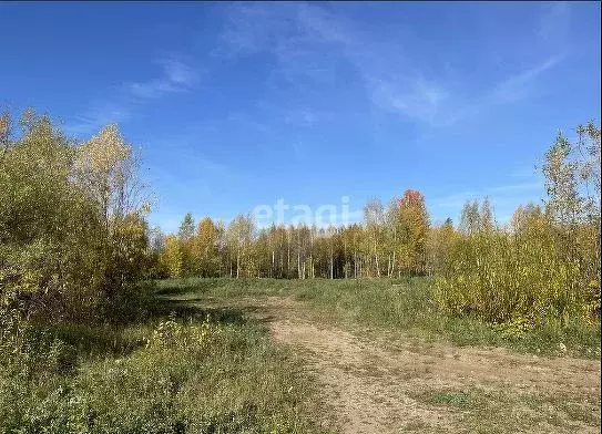 Помещение свободного назначения в Пермский край, Пермь Вышка II мкр,  ... - Фото 0