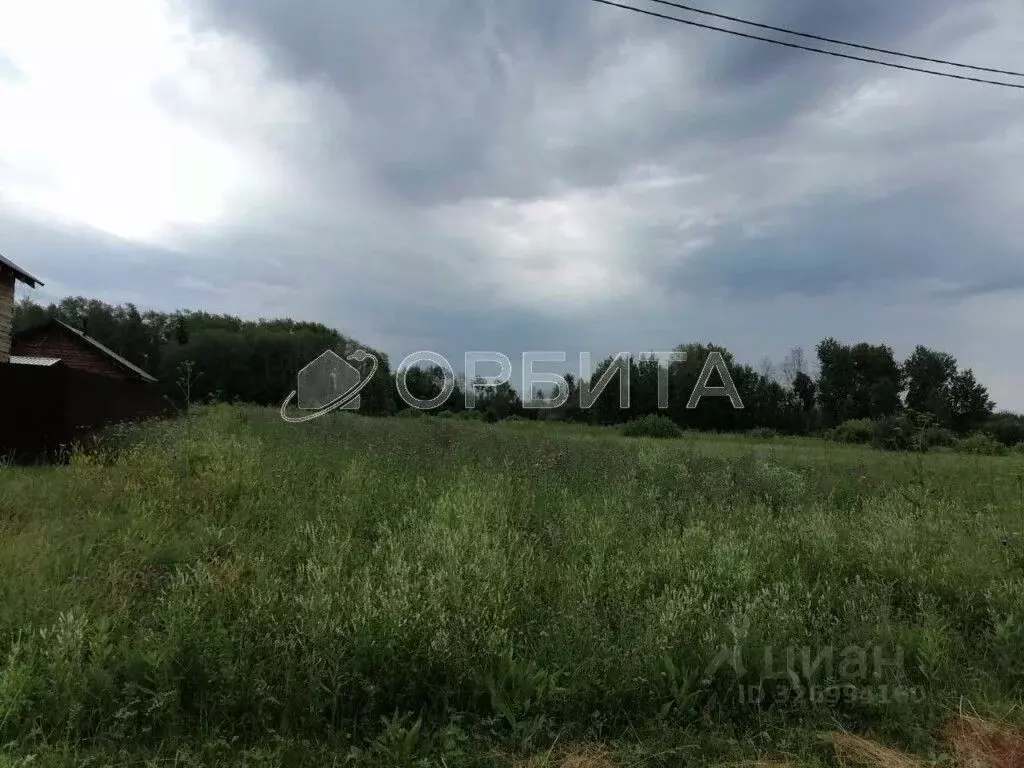 Участок в Свердловская область, Слободо-Туринский район, ... - Фото 2