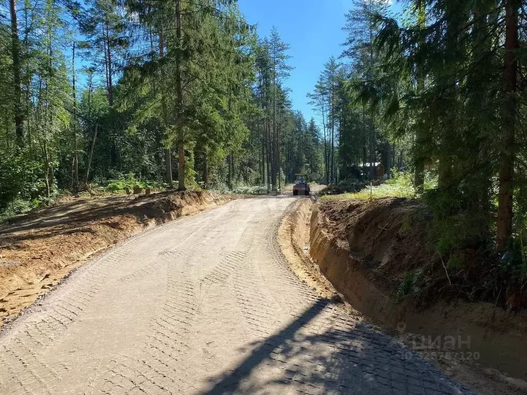 Участок в Ленинградская область, Всеволожский район, Куйвозовское ... - Фото 2
