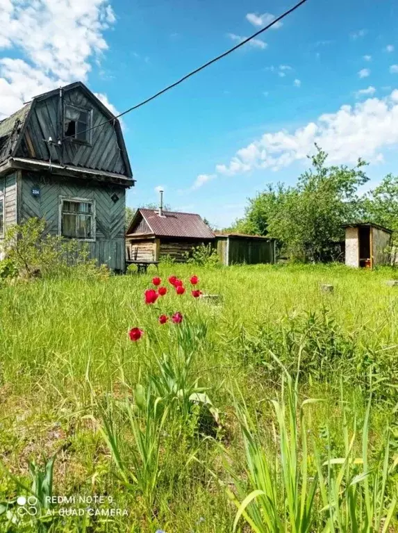 Дом в Татарстан, Лаишевский район, Орловское с/пос, № 3 Чистое Озеро ... - Фото 0