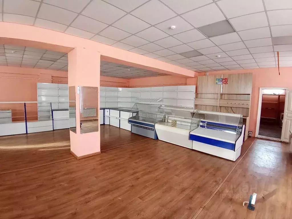 Помещение свободного назначения в Алтайский край, Мамонтовский район, ... - Фото 2