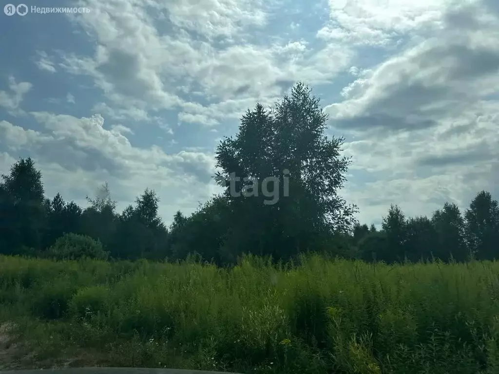 Участок в Нижегородская область, Городецкий муниципальный округ, ... - Фото 0