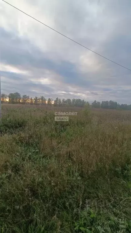 Участок в Башкортостан, Благоварский район, Языковский сельсовет, с. ... - Фото 2