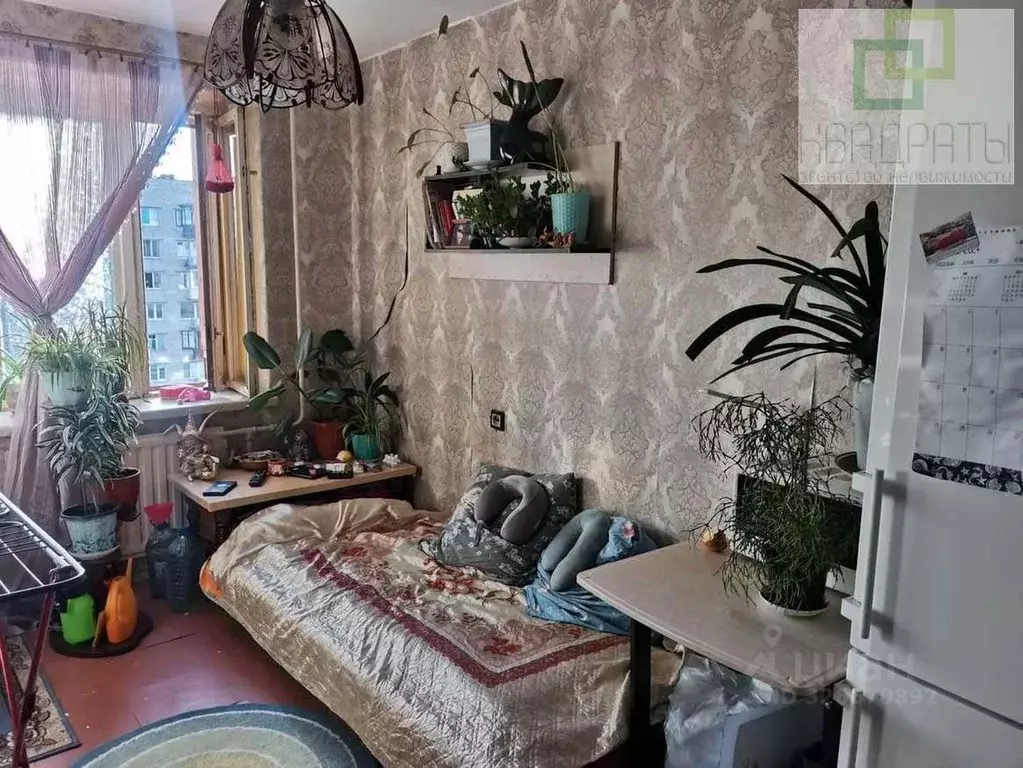 Комната Санкт-Петербург ул. Генерала Симоняка, 10 (14.5 м) - Фото 0