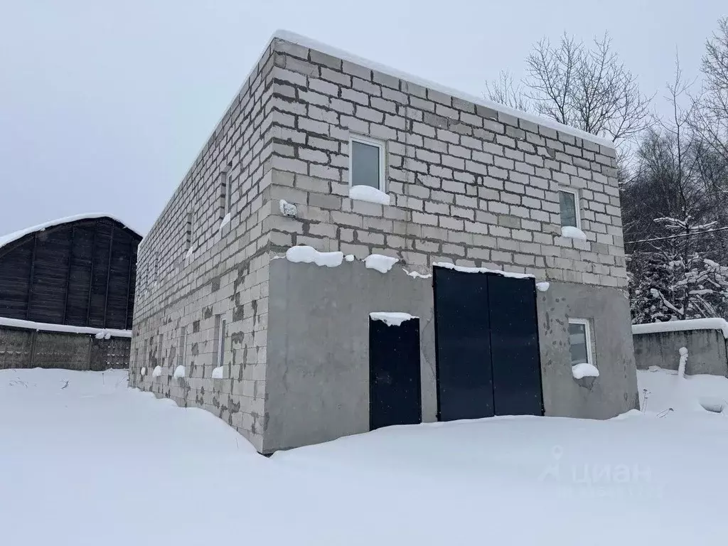 Производственное помещение в Московская область, Пушкинский городской ... - Фото 1