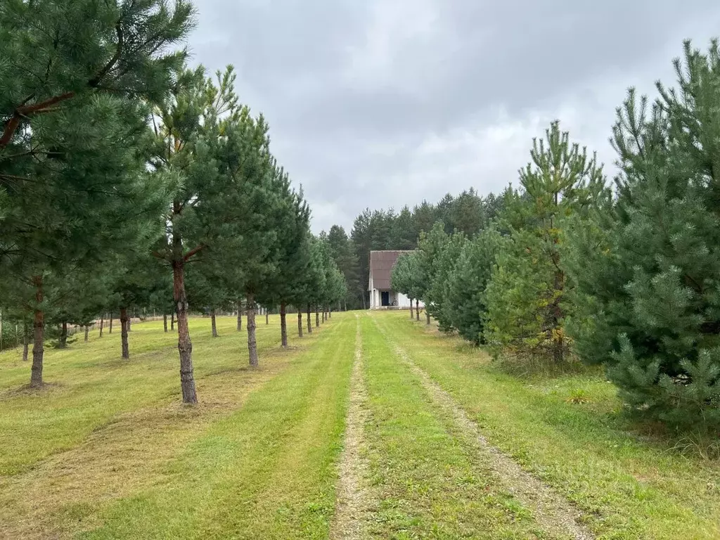 Участок в Рязанская область, Клепиковский район, Ненашкинское с/пос, ... - Фото 1