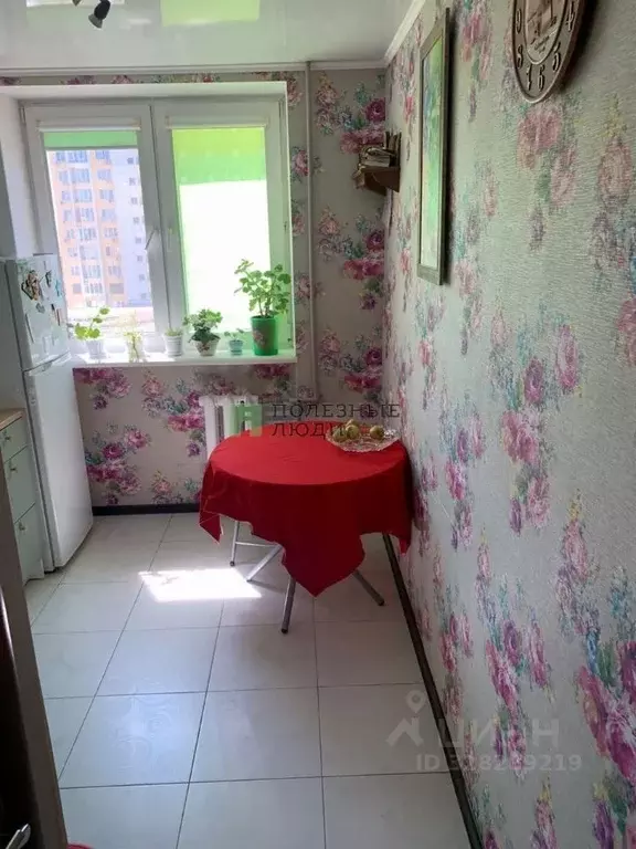 2-к кв. Крым, Евпатория ул. 9 Мая, 80 (49.6 м) - Фото 2