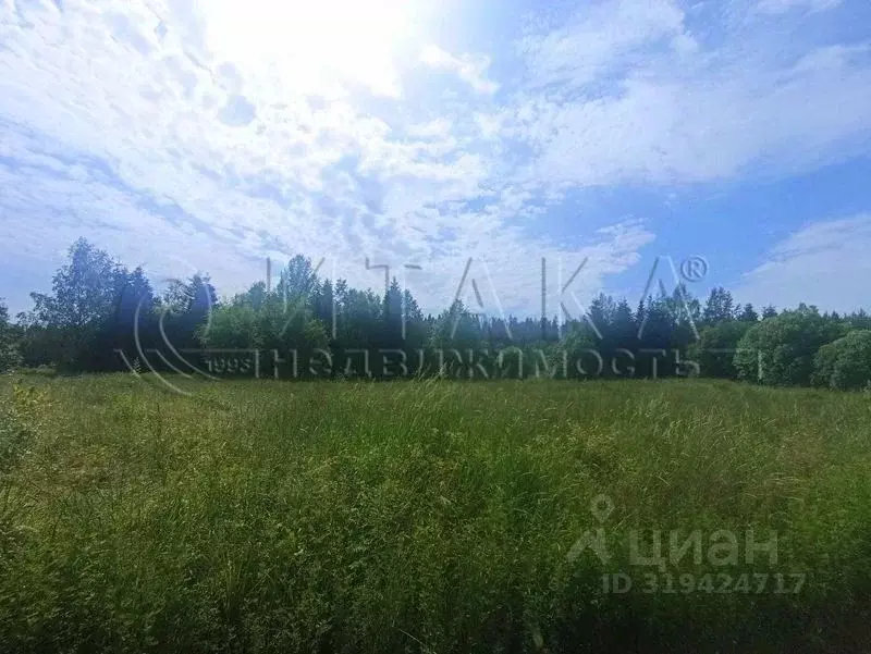 Участок в Ленинградская область, Выборгский район, Селезневское с/пос, ... - Фото 0