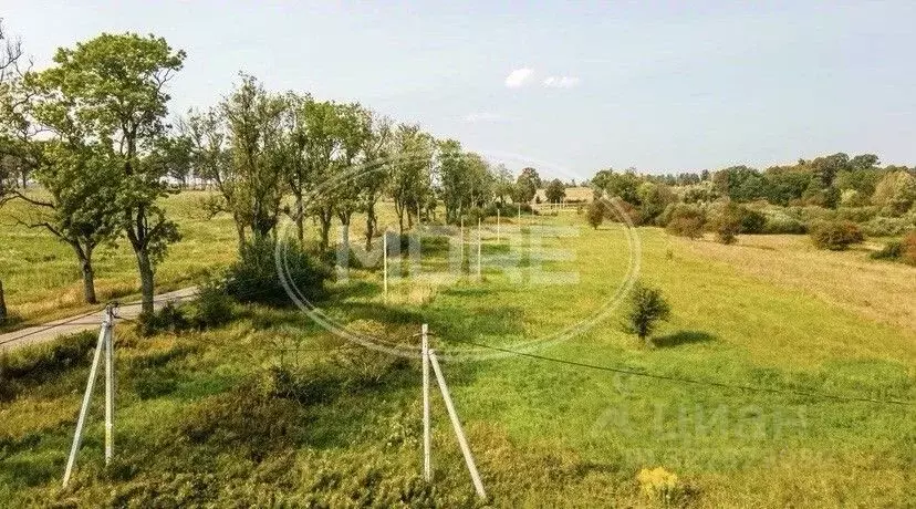 Участок в Калининградская область, Гурьевский муниципальный округ, ... - Фото 2