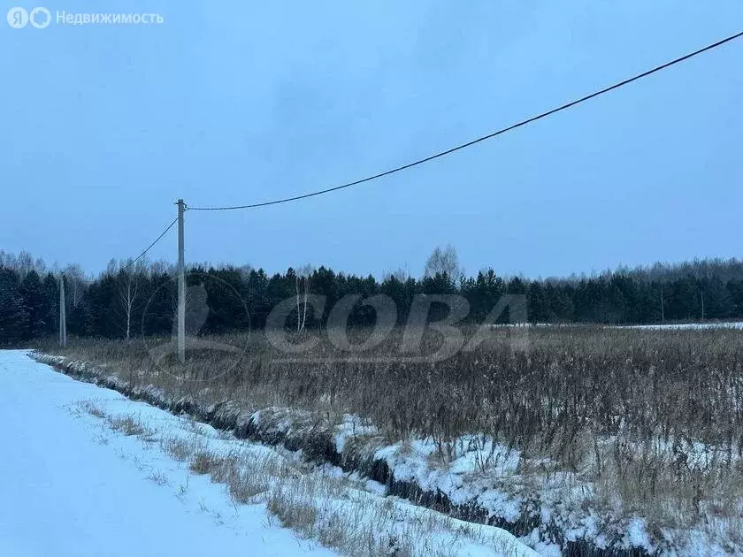 Участок в Тюменский район, село Кулига, микрорайон Кулига-2 (26 м) - Фото 1