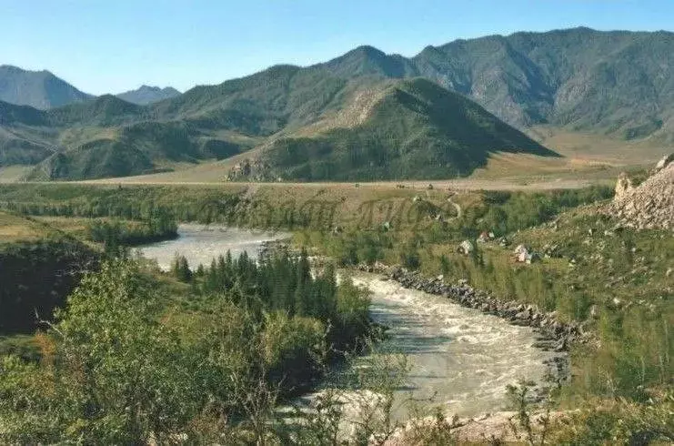 Участок в Алтай, Онгудайский район, с. Купчегень Средняя ул. (3.6 га.) - Фото 2