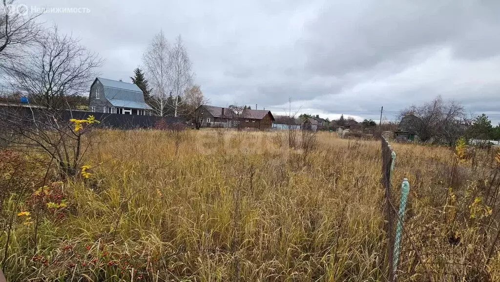 Участок в Рамонский район, Новоживотинновское сельское поселение, СНТ ... - Фото 1