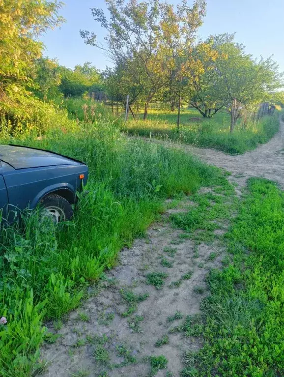 Участок в Белгородская область, Белгородский район, с. Зеленая Поляна  ... - Фото 1