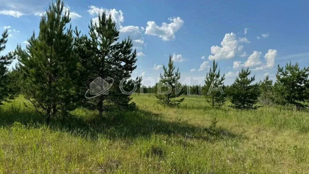 Участок в Тюменская область, Тюменский район, с. Салаирка ул. ... - Фото 1