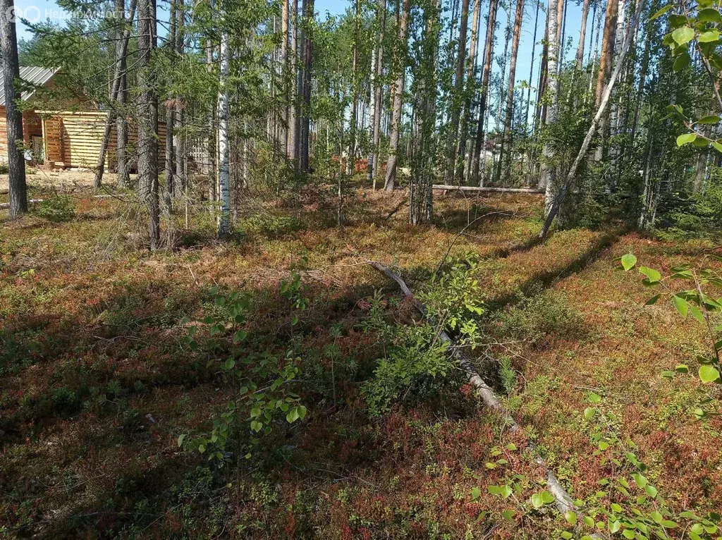 Участок в посёлок городского типа Краснозатонский, Рассветная улица, ... - Фото 1