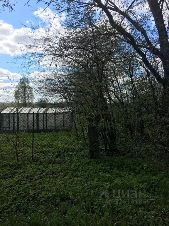 Участок в Псковская область, Порховский муниципальный округ, д. ... - Фото 1