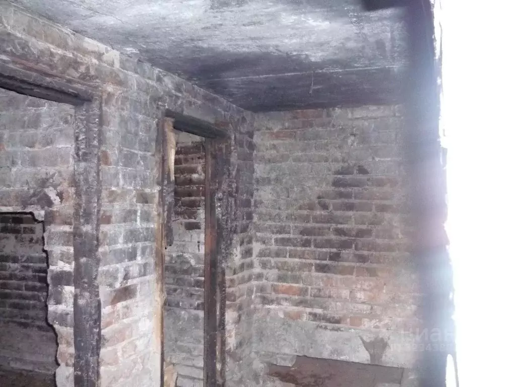 Помещение свободного назначения в Алтайский край, Барнаул ... - Фото 2